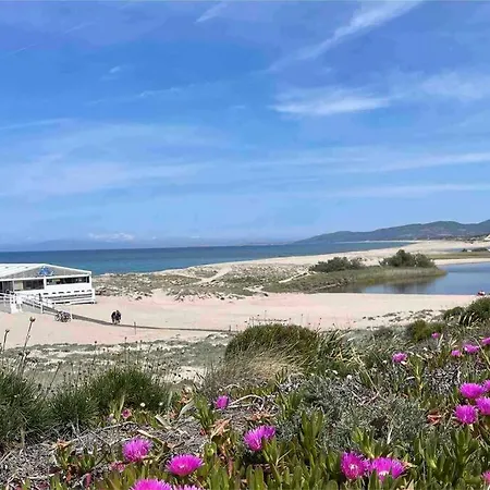 Charming With Parking, Mountain View, Close To The *